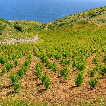 Villa Jelsa Apartman Jelsa (Hvar)