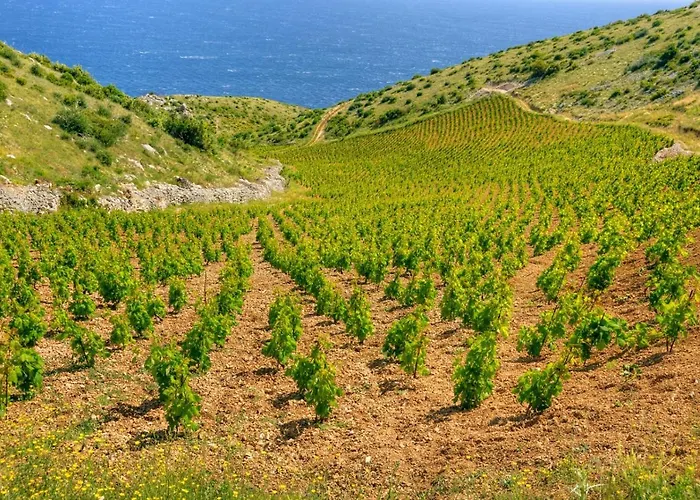 Villa Jelsa Appartement Jelsa (Hvar)